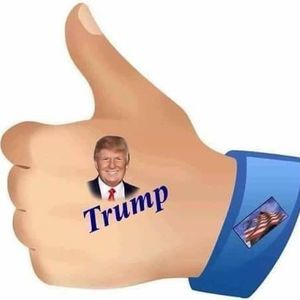 Meet your Posher, Merrill